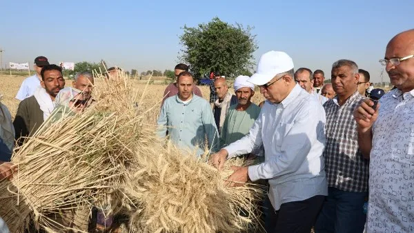 محافظ المنيا يتابع منظومة توريد القمح من صومعة البهنسا ببنى مزار محافظ المنيا يتابع منظومة توريد القمح من صومعة البهنسا ببنى مزار