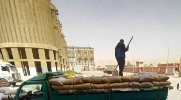 محافظ سوهاج: توريد 82 ألف طن قمح.. وصرف أكثر من مليار جنيه مستحقات للمزارعين