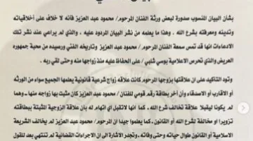 محامي بوسي شلبي يرد على أبناء محمود عبد العزيز.. ويكشف حقيقة خسارة موكلته القضايا