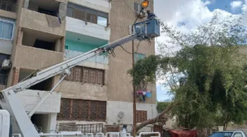 محليات الإسماعيلية ترفع ٦٦١٠ طن مخلفات خلال الفترة من ٢ حتى ٨ مايو ٢٠٢٥