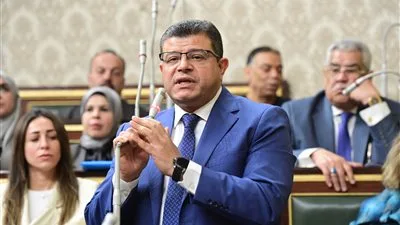 محمد سليمان: مشروع قانون الفتوى يتصدى لغير المختصين والفوضى التي يشهدها المجتمع محمد سليمان: مشروع قانون الفتوى يتصدى لغير المختصين والفوضى التي يشهدها المجتمع
