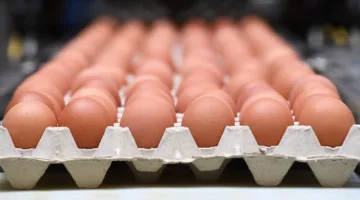 مدة صلاحية طبق البيض في الصيف.. وطرق تخزينه الصحيحة