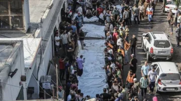 مدير مجمع الشفاء: المستشفيات في غزة تنهار والناس تستشهد أمام أعيننا