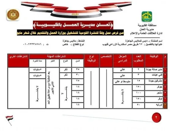مديرية العمل بالقليوبية تقدم 627 فرصة عمل في 4 شركات خاصة