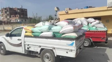 مزارعو البحيرة يواصلون توريد القمح واستلام أكثر من 108 آلاف طن حتى اليوم