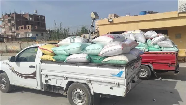 مزارعو البحيرة يواصلون توريد القمح واستلام أكثر من 108 آلاف طن حتى اليوم مزارعو البحيرة يواصلون توريد القمح واستلام أكثر من 108 آلاف طن حتى اليوم