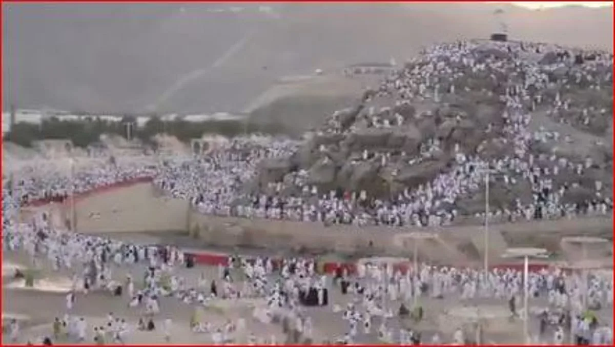 مسؤول في وزارة البيئة: موسم الحج هذا العام يشهد زيادة ملحوظة في قدرة التشغيل للمسالخ والأسواق مسؤول في وزارة البيئة: موسم الحج هذا العام يشهد زيادة ملحوظة في قدرة التشغيل للمسالخ والأسواق
