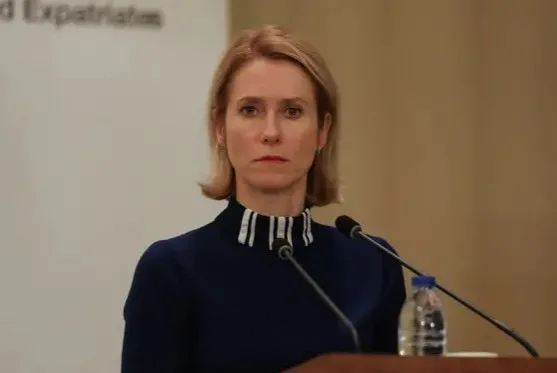مسؤولة في الاتحاد الأوروبي تشدد على أهمية إدخال المساعدات الإنسانية إلى غزة بشكل عاجل.