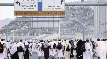 مسؤولة: مبادرة “صحة ثون” تُعد مثالاً لتعزيز الابتكار في مجال الصحة خلال موسم الحج.
