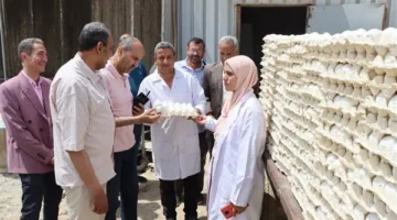 مساعد السكرتير العام في بني سويف يراقب مشاريع الدواجن المركزية