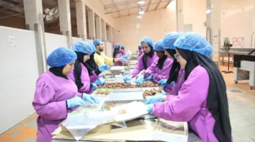 مستشار الرئيس للتنمية المحلية ومحافظ الوادي الجديد يتفقدان مجمع التمور | صور