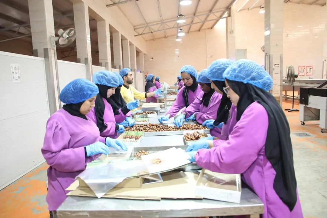 مستشار الرئيس للتنمية المحلية ومحافظ الوادي الجديد يتفقدان مجمع التمور | صور مستشار الرئيس للتنمية المحلية ومحافظ الوادي الجديد يتفقدان مجمع التمور | صور