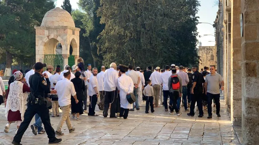مستوطنون يقتحمون ساحات المسجد الأقصى تحت حماية قوات الاحتلال الإسرائيلي مستوطنون يقتحمون ساحات المسجد الأقصى تحت حماية قوات الاحتلال الإسرائيلي