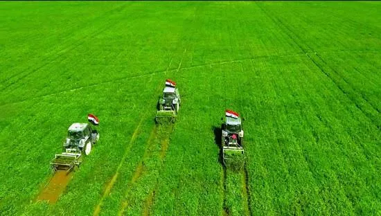 مشاريع وطنية لتوسيع المساحات الزراعية.. مصر تقترب من تحقيق الاكتفاء الذاتي في جميع المحاصيل. مشاريع وطنية لتوسيع المساحات الزراعية.. مصر تقترب من تحقيق الاكتفاء الذاتي في جميع المحاصيل.
