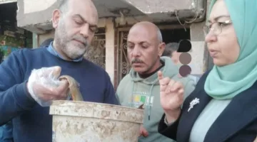 مصادرة 3 أطنان من الأسماك واللحوم غير المعروفة المصدر و520 محضرًا تموينيًا في المنوفية