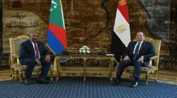 مصر وجزر القمر.. تعاون مثمر في قطاعات الصحة والتعليم