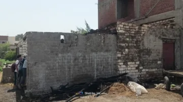 مصرع 11 رأساً من الماشية نتيجة حريق اندلع في مزرعة بالبحيرة | صور