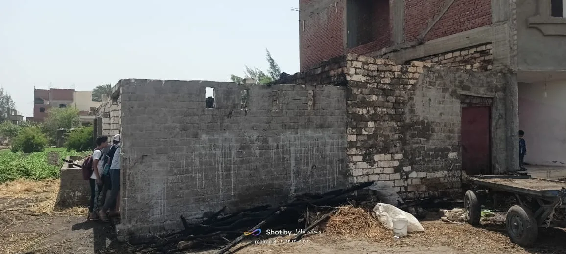مصرع 11 رأساً من الماشية نتيجة حريق اندلع في مزرعة بالبحيرة | صور مصرع 11 رأساً من الماشية نتيجة حريق اندلع في مزرعة بالبحيرة | صور