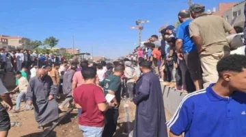 مصرع سيدة دهسا أسفل عجلات قطار بالشرقية