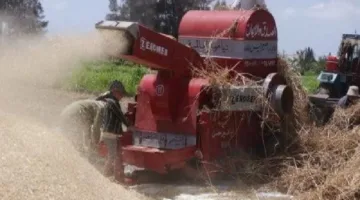 مصرع مزارع سقط في ماكينة الدراس بالسنطة