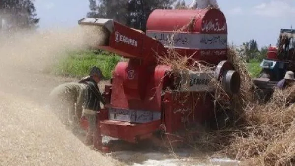 مصرع مزارع سقط في ماكينة الدراس بالسنطة مصرع مزارع سقط في ماكينة الدراس بالسنطة