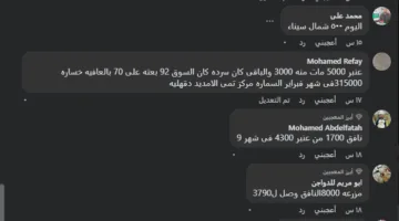 معدل الوفيات يتجاوز 60%.. «الجمهور» يحصل على مقاطع فيديو توضح انتشار الفيروسات في مزارع الدواجن