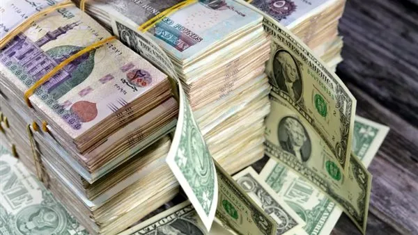 معركة ”الهوت موني“ وسيناريو 2022: كيف يمكن لمصر حماية نفسها من فخ الأموال السريعة? معركة ”الهوت موني“ وسيناريو 2022: كيف يمكن لمصر حماية نفسها من فخ الأموال السريعة?