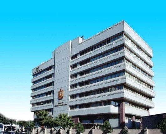 معلومات الوزراء يرصد طفرة في القطاع الزراعي وجهود تحقيق الأمن الغذائي معلومات الوزراء يرصد طفرة في القطاع الزراعي وجهود تحقيق الأمن الغذائي