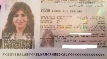 مفاجأة من جواز السفر.. هل كانت بوسي شلبي على ذمة محمود عبد العزيز؟