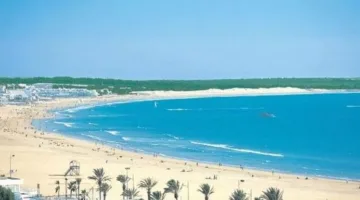 المغرب: شراكات بقيمة 13 مليار دولار لتحلية مياه البحر وتعزيز الطاقة المتجددة