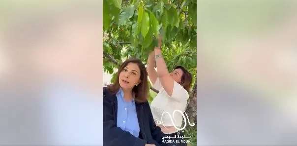إلهام شاهين تمزح مع ماجدة الرومي: أخذت الكرز لكنها أكلته! إلهام شاهين تمزح مع ماجدة الرومي: أخذت الكرز لكنها أكلته!