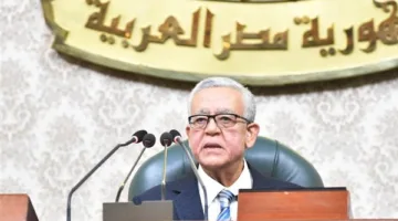 من بينهم العلاوة الدورية .. "جبالي" يحيل عدة قوانين واتفاقيات دولية للجان النوعية