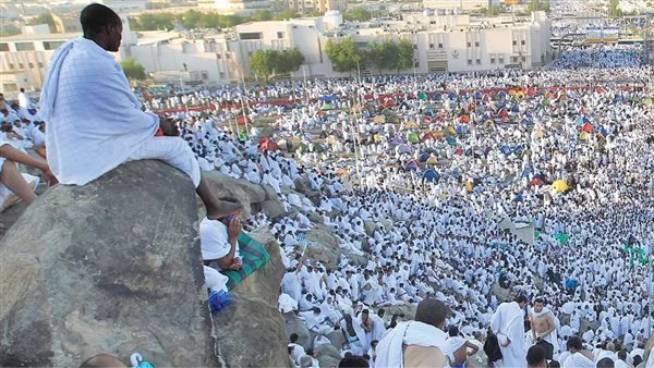 من جميع النقاط الحدودية.. وصول 755,344 حاجًّا إلى السعودية حتى الآن من جميع النقاط الحدودية.. وصول 755,344 حاجًّا إلى السعودية حتى الآن