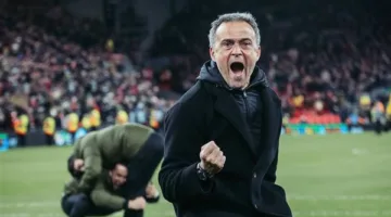من دوري الفلاحين لـ نهائي الأبطال.. باريس سان جيرمان قاهر الإنجليز بقيادة إنريكي