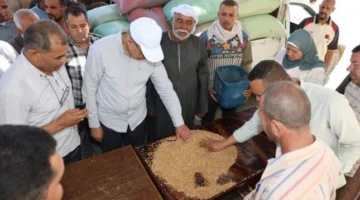 من غرفة التحكم إلى أرض الواقع.. محافظ المنيا يتابع لحظة بلحظة توريد قمح البهنسا