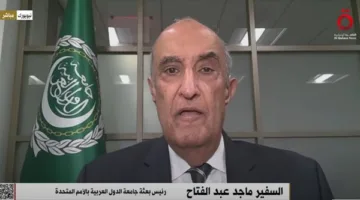السفير ماجد عبدالفتاح: نعمل على إصدار قرار من مجلس الأمن لإنهاء العدوان على غزة.