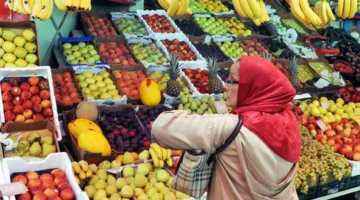 مندوبية التخطيط تبدأ البحث الوطني حول العائلة المغربية لتجميع معطيات ديموغرافية واجتماعية