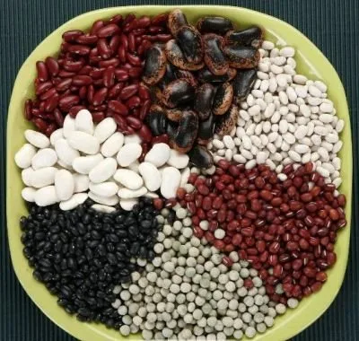 منها اللوز والكاجو.. 6 أطعمة غنية بالمغنسيوم تحميك من الإصابة بالكبد الدهني منها اللوز والكاجو.. 6 أطعمة غنية بالمغنسيوم تحميك من الإصابة بالكبد الدهني