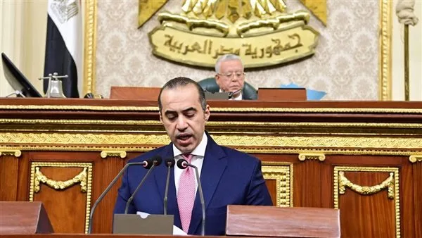 وزير الشئون النيابية: النظام الانتخابي في مصر يستوجب تمثيل سبع فئات محددة في البرلمان
