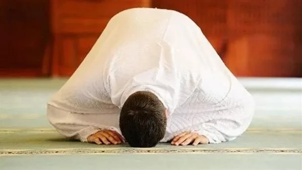 مواقيت الصلاة اليوم الأحد 11 مايو 2025 بمحافظة المنيا مواقيت الصلاة اليوم الأحد 11 مايو 2025 بمحافظة المنيا