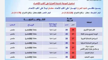 موجة شديدة الحرارة.. الأرصاد تكشف حالة الطقس غدا السبت 10 مايو 2025