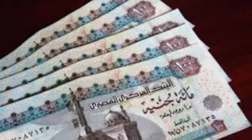 موعد صرف منحة العمالة غير المنتظمة 2025
