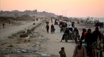 موقف لا يتغيّر.. كيف رسّخت مصر رفضها القاطع لتهجير الفلسطينيين؟
