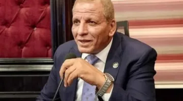 نائب برلماني: الحكومة تتحمل جزءًا من تأمينات العمالة غير المنتظمة وفقًا لقانون العمل الجديد.