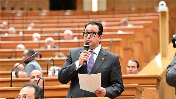 نائب برلماني: موقف مصر من التهجير أحبط خطط إسرائيل وواشنطن نائب برلماني: موقف مصر من التهجير أحبط خطط إسرائيل وواشنطن
