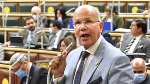 نائب برلماني يطالب بتوظيف العمالة المؤقتة بشكل دائم ومنح معاش للفلاحين