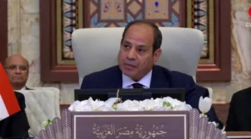 السيسي ودعم فلسطين: كيف يقود الرئيس جهود إقامة الدولة الفلسطينية ومناهضة التهجير؟