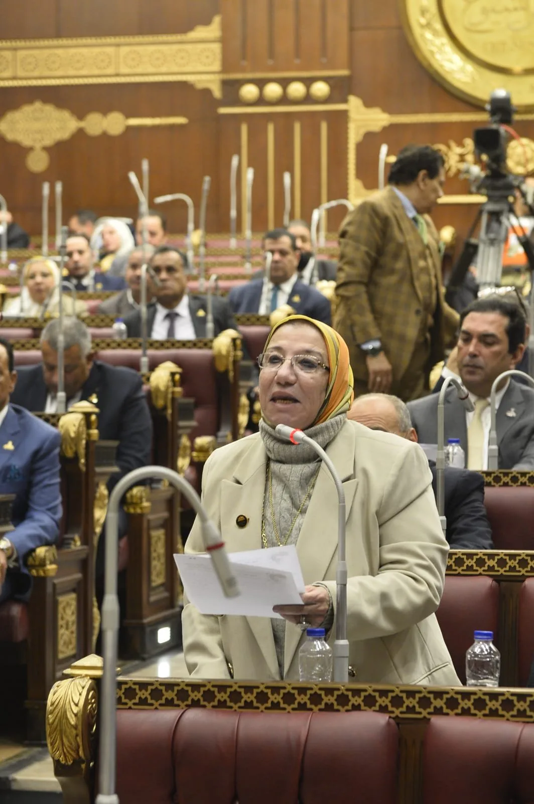 نائبة: مصادقة مجلس الشيوخ على تغييرات قانون الانتخابات تمثل إنجازًا مهمًا نحو تحقيق عدالة في التمثيل البرلماني.