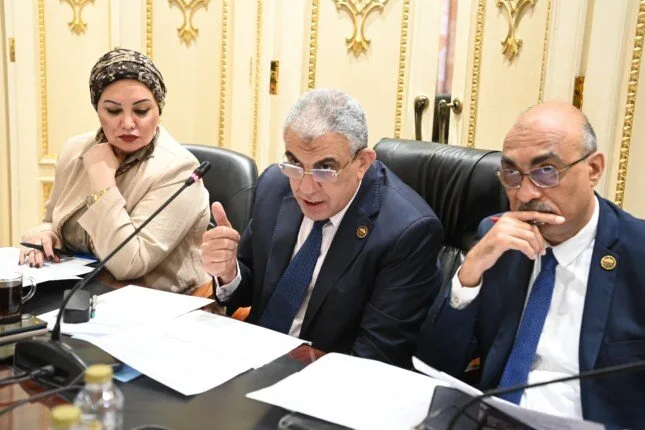 نستعرض تفاصيل قانون الزيادة السنوية ورفع الحافز الإضافي لموظفي الدولة نستعرض تفاصيل قانون الزيادة السنوية ورفع الحافز الإضافي لموظفي الدولة