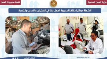 نشاطات ميدانية شاملة لفرع “عمل قنا” في مجالات التفتيش والتدريب والتوعية